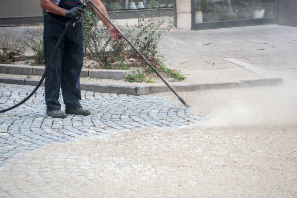 Best Driveway Pressure Washing  in Seffner, FL