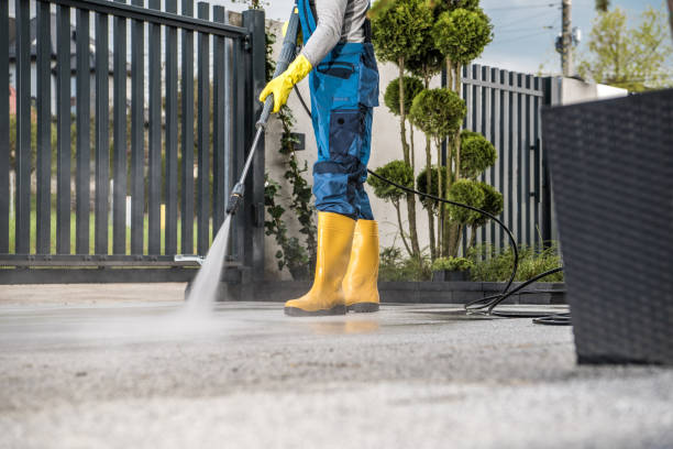 Best Fence Cleaning  in Seffner, FL